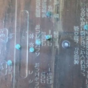 コリドラス 産卵 5日目の画像