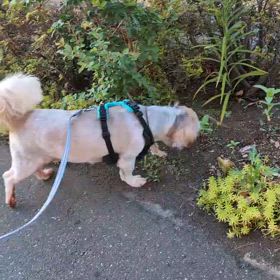 元気にしてるよ☺️の画像