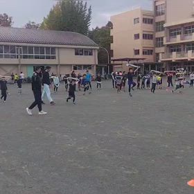 11/16 タオルトレーニング⑦の画像