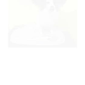 DOGXDOG てんくんの画像