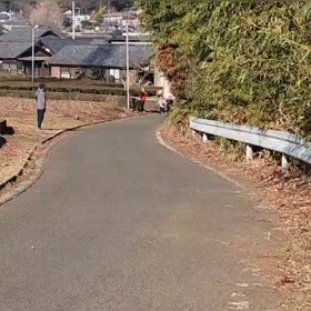 坂ダッシュ（コース前半）⑥の画像