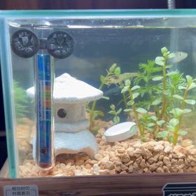 ２度目の挑戦の画像