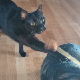 2025/02/24いさおわたるの画像