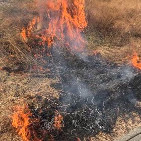 野焼き　ƪ(˘⌣˘)ʃの画像