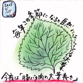 アラフィフ絵日記「自家製の大葉で、今の晩御飯は豚肉の大葉巻」の画像