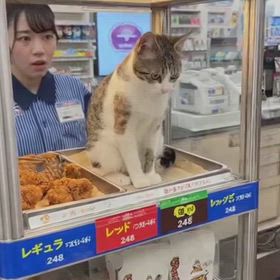 にゃん♡の画像