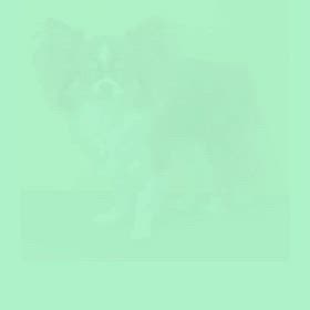 DOGXDOG ピノくんの画像