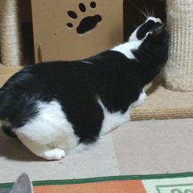 何やってんの？(((*≧艸≦)ﾌﾟﾌﾟｯの画像