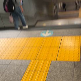 今日はお休みらしいの画像