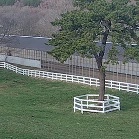 泊津一日目の続き、これも大人気でしたゲッカコウ24、の画像