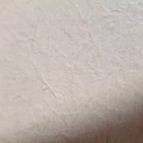 まだ早いの画像