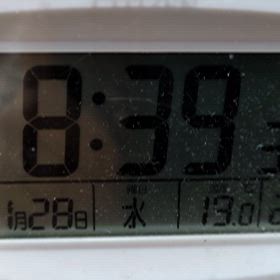 1/28 FM Bettyの画像