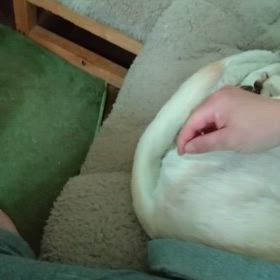 これがたまらない季節になりまして。の画像