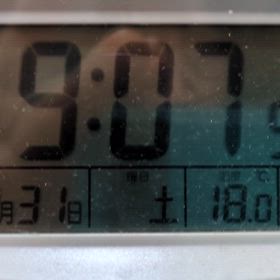 1/31 FM Bettyの画像