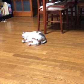 ん〜やっぱり寂しい、心配、実家帰省すると…の画像