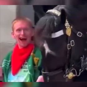 動物は認識している　c/1469730179/27302の画像