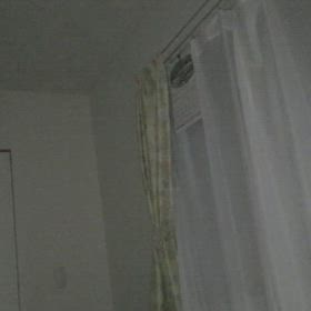 今日のヒュンヒュンさん、後半の動きが愉快の画像