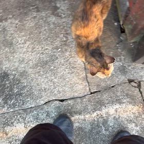 お前だけだよの画像