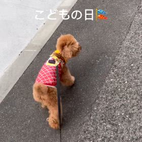 １ヶ月前の話の画像