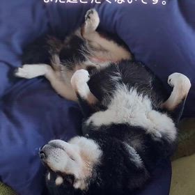 インスタより～おはようございます！の画像