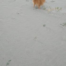 久々のサーフィン️の画像