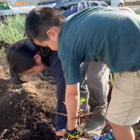 芋堀動画の画像