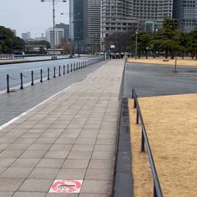 冷たい冬の雨が降る中での皇居前ランニングの画像