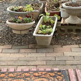 2/11〜2/20 個人レッスン受付時間　　福島市ギター教室の画像