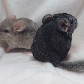 ご予約頂きました！の画像