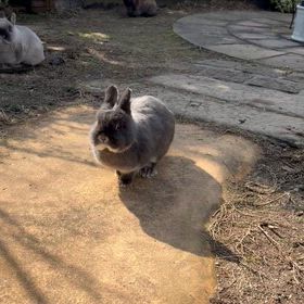 久しぶりの女子会の画像