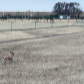 9歳になりました✨の画像