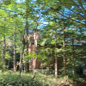 虫の声＆鳥の声の画像