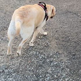 2024/10/22☀️→☂️の画像