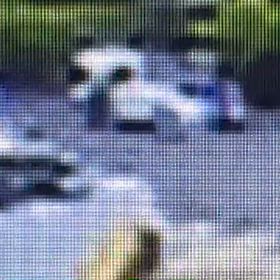 バイクげ来てもお構いなし！の画像