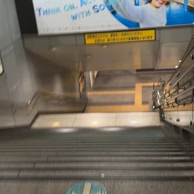 撮影に専念したら邪魔が入りましたの画像