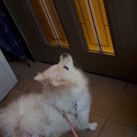 スゴいでしょ（笑）の画像