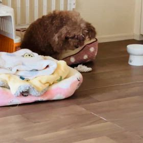 洗顔タイムの画像