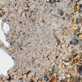 2025/6/26 寅の日の大吉日の過ごし方は？の画像