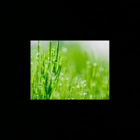 泣かないように歌おう　♡╰(*´︶`*)╯♡の画像