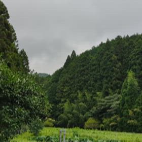 帰省からの画像