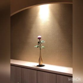 沈む、みたらし団子（ひいらぎ銀座本店）の画像