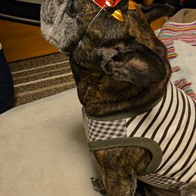 鬼よ！いい加減にしてくれよの画像