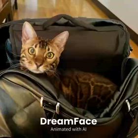 AIって凄い‼️の画像