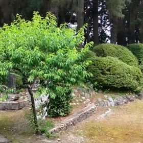 パワースポットの画像