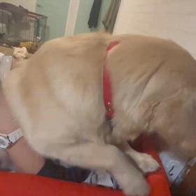 驚いたのは私の方よの画像