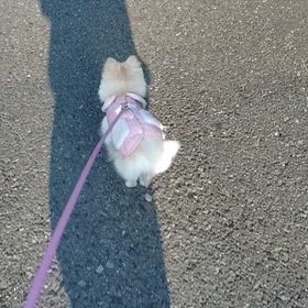 視界良好！の画像