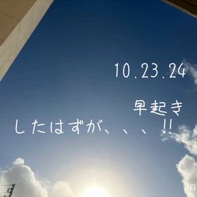 早起きしたはず、の、朝の動画の画像