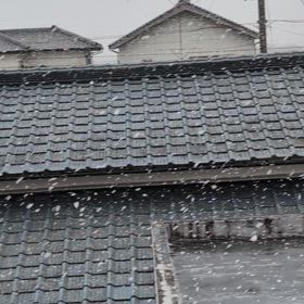 謹賀新年の画像