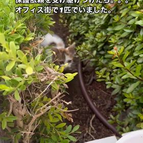 【雨降る前のオフィス街】の画像