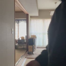 1日　絶対に勝つの画像